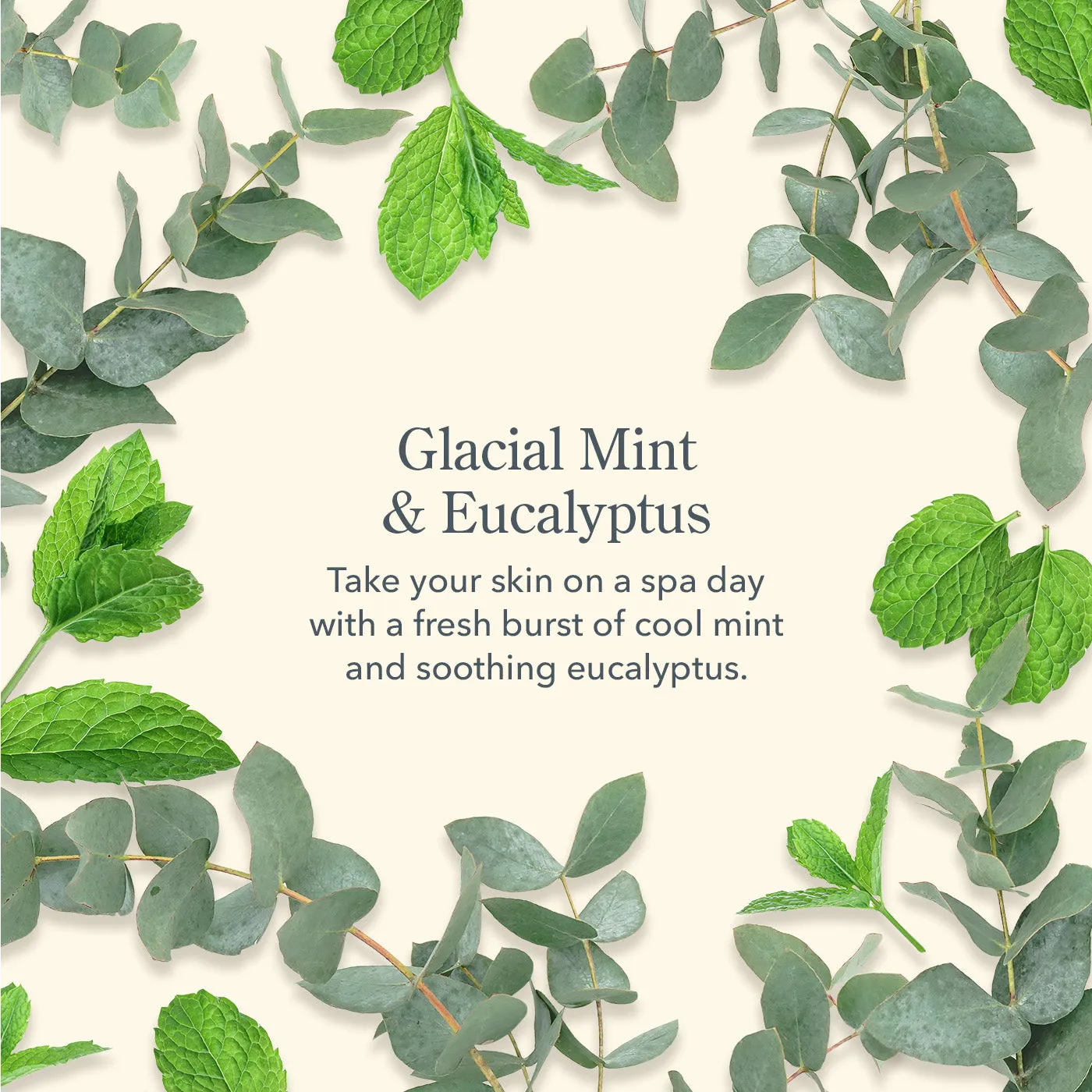 Glacial Mint & Eucalyptus 3-Pack Of Lip Balms