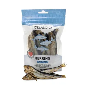 Herring Whole Fish