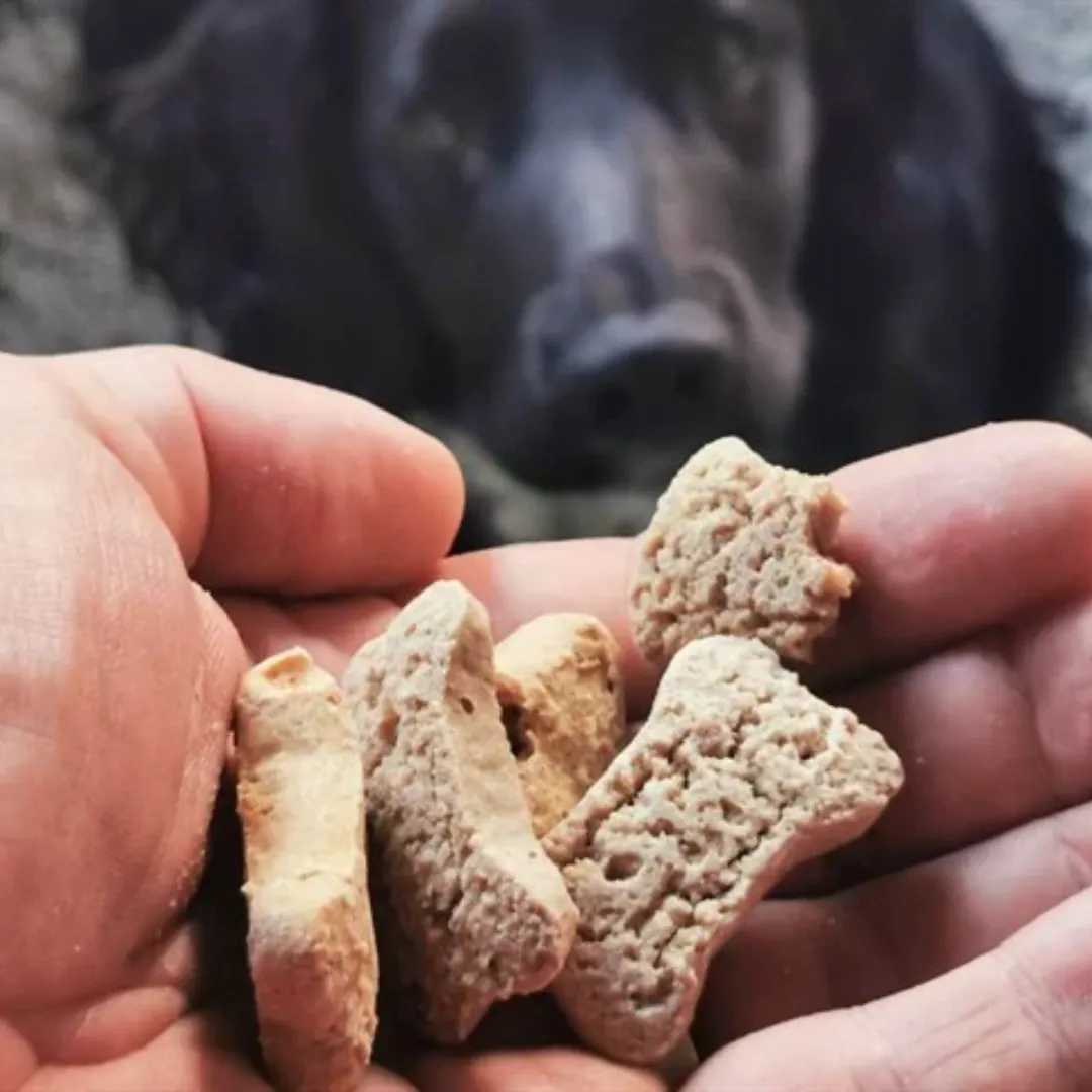 Tribal Rewards Chicken and Flaxseed Dog Treats